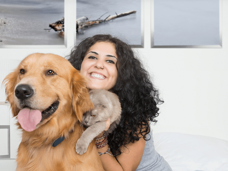 Pet Sitting Business